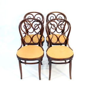 Michael Thonet, rare set of 4 Café Daum chairs for Thonet, 1849