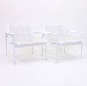 Richard Schultz, pair of low armchairs, The Schultz Collection, B&B Italia