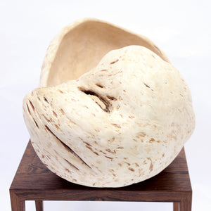 Exceptional and very large Swedish burl bowl of birch, 1984