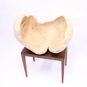 Exceptional and very large Swedish burl bowl of birch, 1984