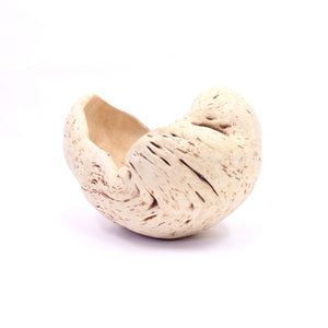 Exceptional and very large Swedish burl bowl of birch, 1984