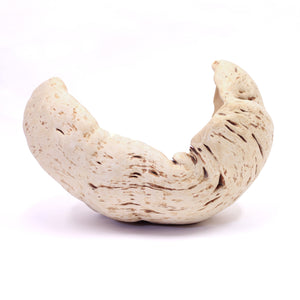 Exceptional and very large Swedish burl bowl of birch, 1984