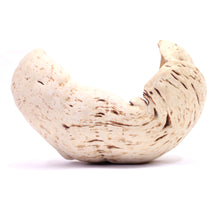 Load image into Gallery viewer, Exceptional and very large Swedish burl bowl of birch, 1984