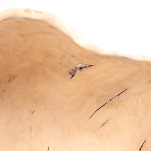 Exceptional and very large Swedish burl bowl of birch, 1984