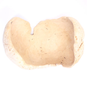 Exceptional and very large Swedish burl bowl of birch, 1984