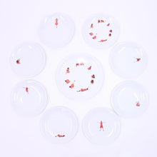 Load image into Gallery viewer, Antonia Astori &amp; Ron Gilad, The White Snow Snow White, 8 + 1 plates, Driade, ca 2007