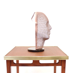 Rare life size display mannequin head in wire mesh by Åtvidabergs, 1950s