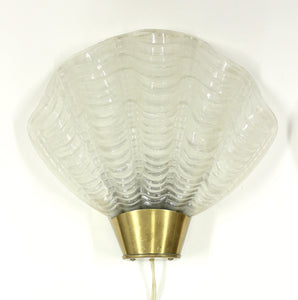 Shell Shaped Model Coquille Wall Sconces from ASEA, 1940s, Set of 2